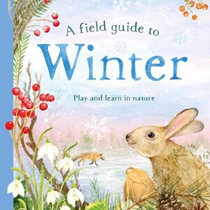 A Field Guide to Winter by Gabby Dawnay, Dorien Brouwers