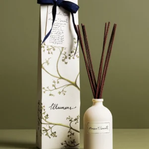 Illumens Monsieur Clement Reed Diffuser