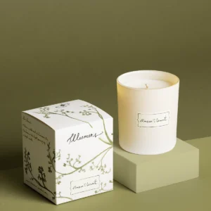Illumens Monsieur Clement Candles